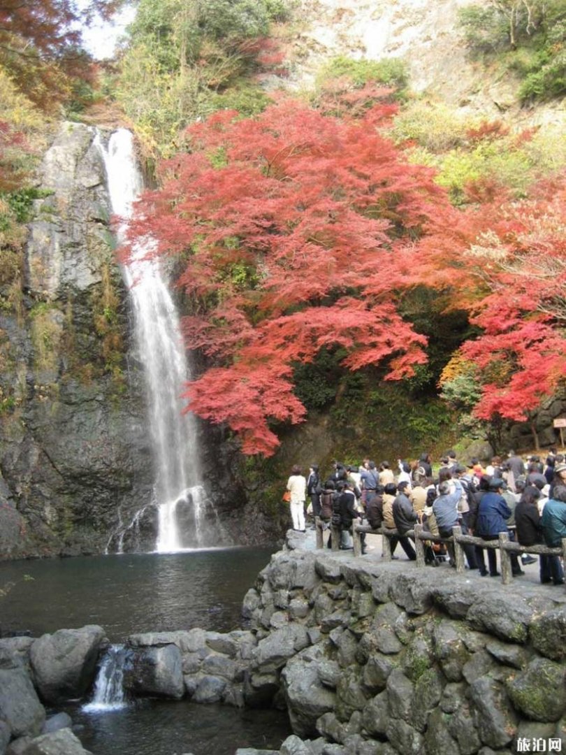 日本秋季赏枫叶时间 2019日本京都京+大阪都赏枫叶最佳地点时间