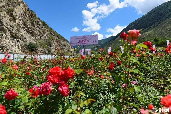 四姑娘山旅游攻略2019