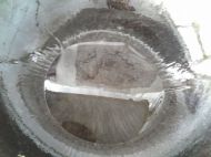 飘香槐花饼的做法步骤5