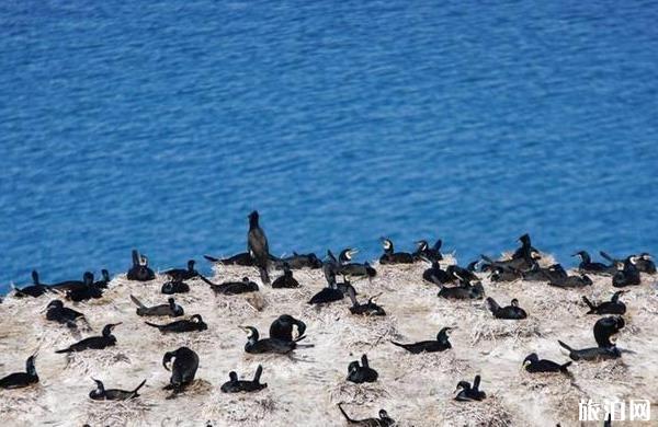 青海湖旅游攻略2019