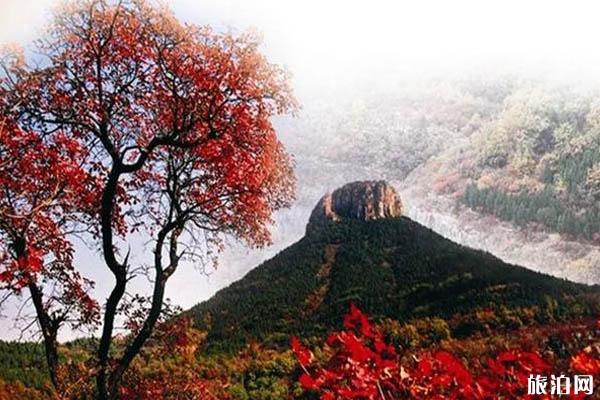 秋天去山东旅游必去的地方推荐