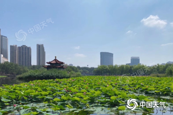 内蒙古降雨高温持续在线 局地气温冲击35℃