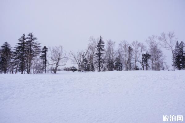 徒步穿越羊草山攻略 雪谷雪乡旅游攻略2020