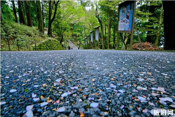 日本京都比叡山旅游攻略 日本京都比叡山旅游攻略