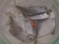 红烧鲳鱼的做法步骤1