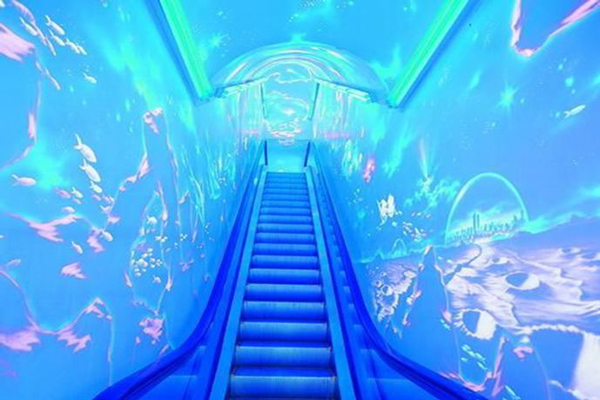 青岛海底世界门票 青岛海底世界