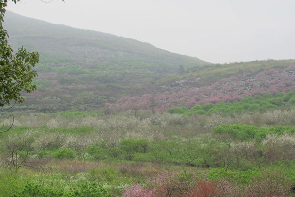 春游去桂林有哪些好景点 桂林适合踏青的地方