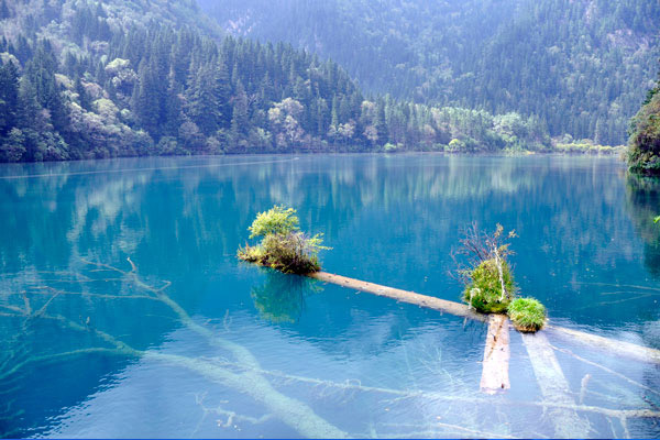 重庆周边旅游推荐 重庆周边旅游介绍