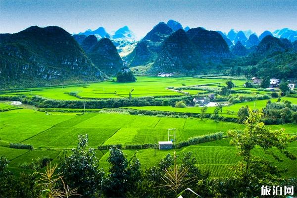 万峰林风景区在哪里  门票价格是多少