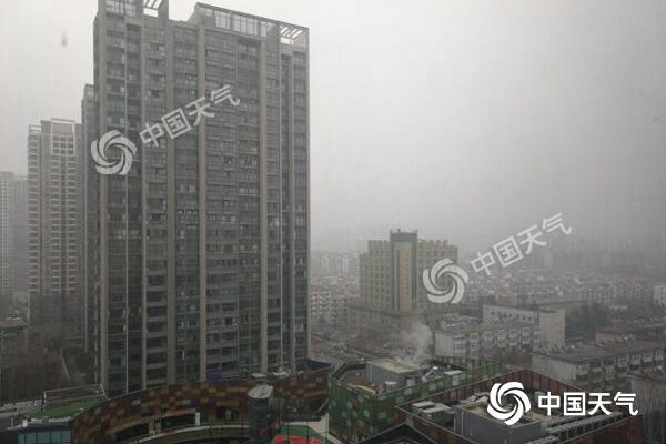 QQ图片20190115113525_副本.jpg