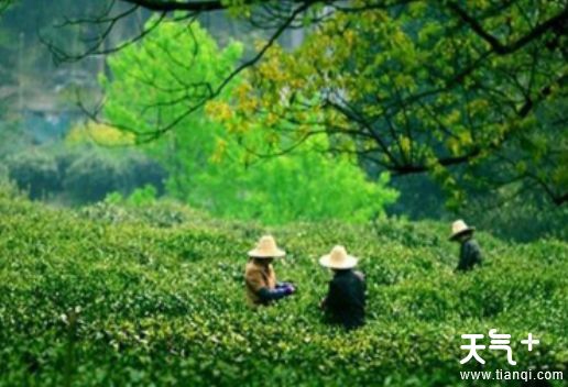 宁波慈溪知名特产有哪些