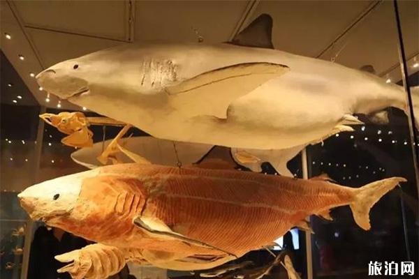 国家海洋博物馆有几个展厅