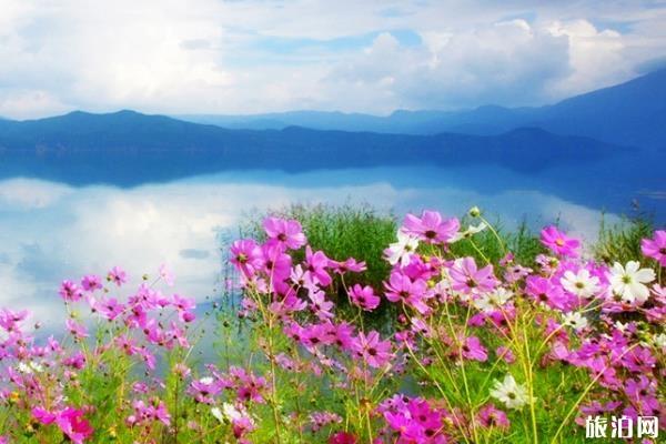 丽江去泸沽湖怎么去 丽江去泸沽湖旅游攻略