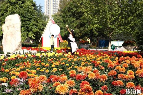 2019菊文化嘉年华时间+地点 2019西安菊文化嘉年华门票+交通