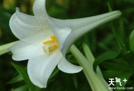 沈阳浑南知名特产有哪些