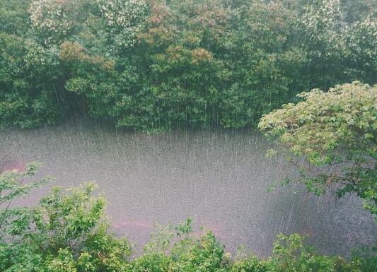 浙江今日部分地区有强降雨  10日沿海有9级大风