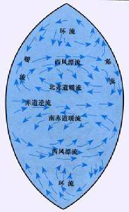 小编告诉你 什么是“世界洋流”