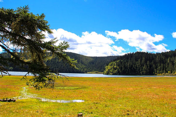 香格里拉怎么玩 香格里拉旅游行程安排