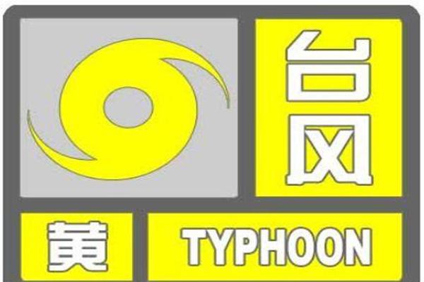 利奇马台风对大连影响 积水路段+交通影响+停课消息+取消航班+天气 利奇马台风对大连影响 积水路段+交通影响+停课消息+取消航班+天气