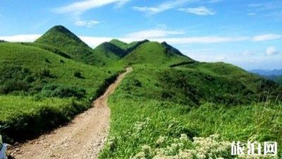 这个秋天重庆周边有着怎样的景色