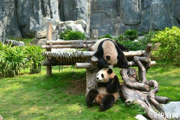 深圳野生动物园暑假门票有什么优惠+夜场看点