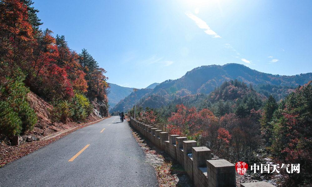 10月5日安徽岳西县鹞落坪国家自然保护区里的已是秋意阑珊,漫山遍野的
