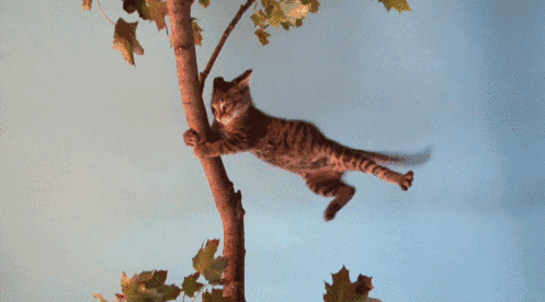 北京今日阵风达9级!昼夜温差10℃以上天气多变