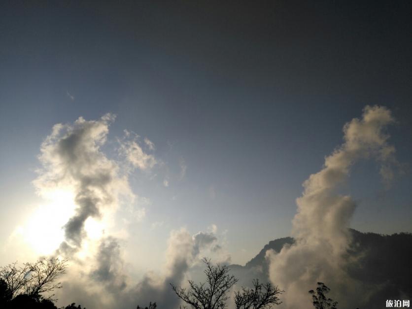 嘉义阿里山公园有什么好玩的