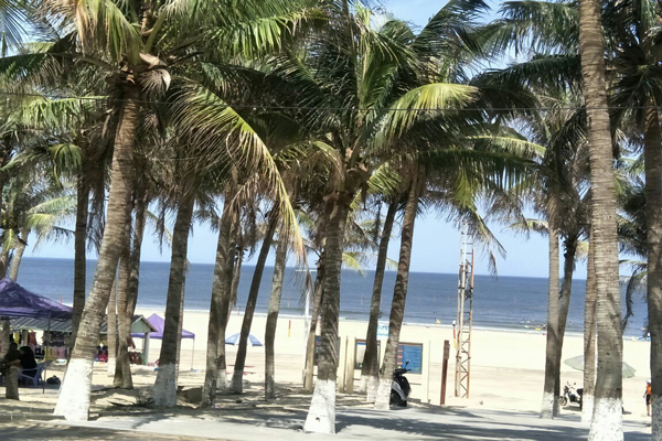 东海岛好玩吗 东海岛旅游攻略