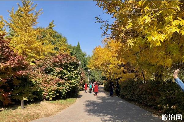 2019北京奥森公园彩叶展在哪 2019北京奥森公园彩叶展时间+门票