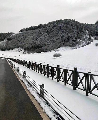 美呆了！重庆仙女山迎下半年初雪 一片银装素裹