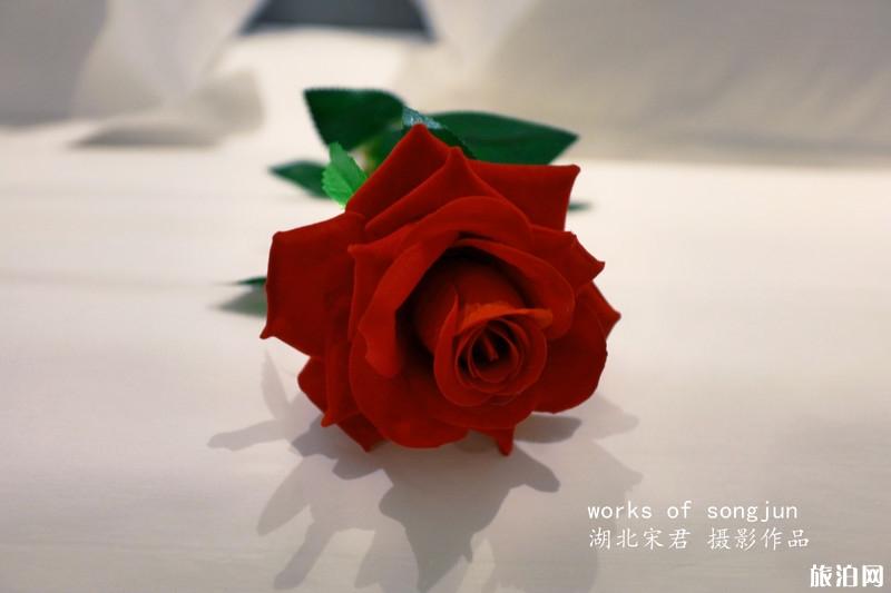 宜昌一日游攻略