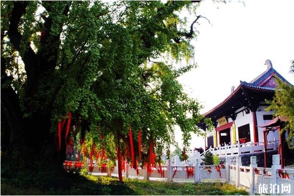 2019南京惠济寺1600年庆典时间+地点+活动安排 2019南京惠济寺1600年庆典报名入口