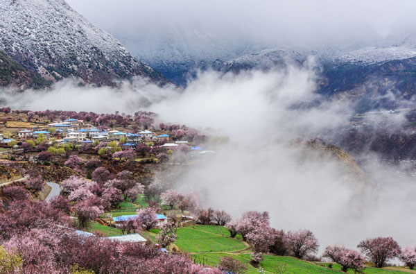 林芝桃花节什么时候 2019年林芝桃花节日期