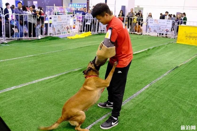 2019亚洲宠物展反恐特战犬时间+地点+活动看点