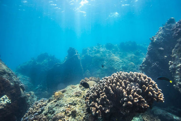 蜈支洲岛旅游攻略 蜈支洲岛游玩攻略