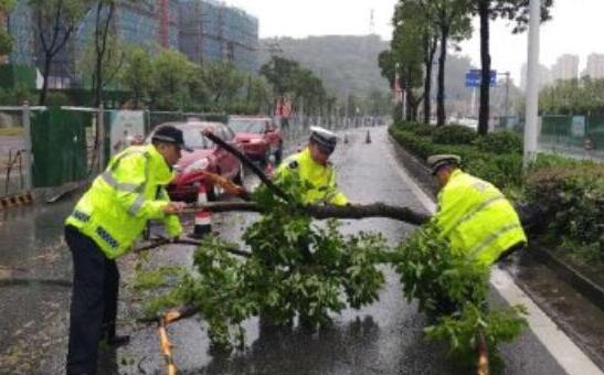 台风“黑格比”过境浙江多地积水严重 超38万人转移至安全地带