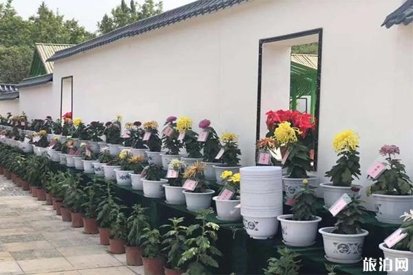 重庆园博园菊花展9月28日 持续时间+门票2019