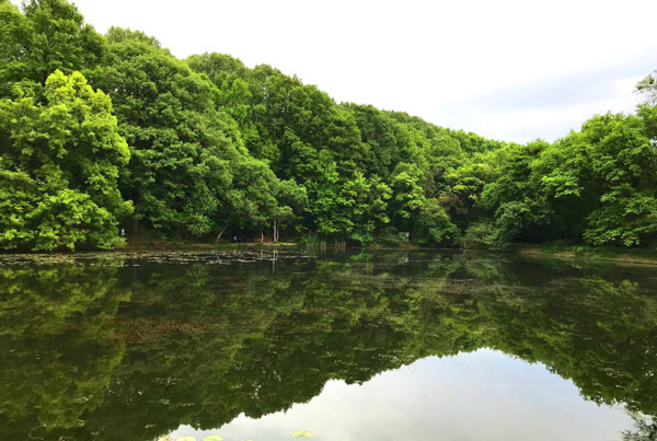 南京春游哪里最好玩 南京春游的好地方