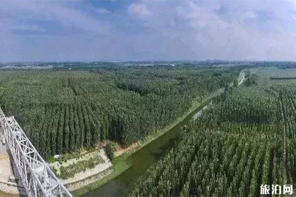 沧州周边自驾游有哪些好玩的地方