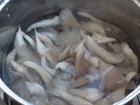 平菇炒木耳的做法步骤2