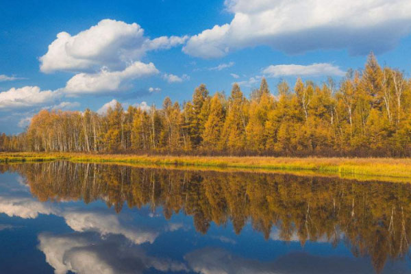 秋天去呼伦贝尔怎么样 秋天的呼伦贝尔好玩吗