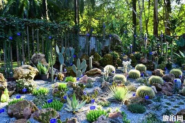 西双版纳东线植物园有着怎样的景点旅游地