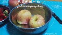 无糖苹果酱的做法步骤1