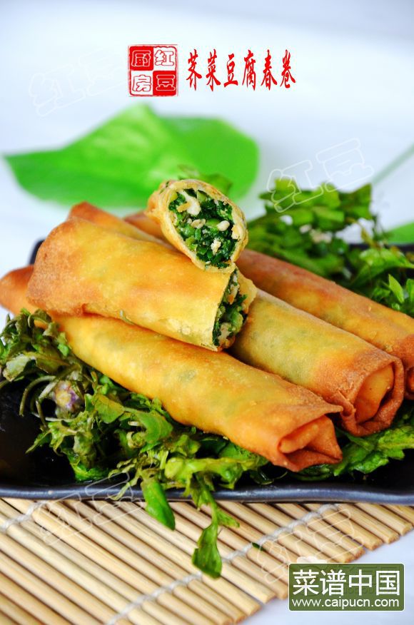 荠菜豆腐春卷