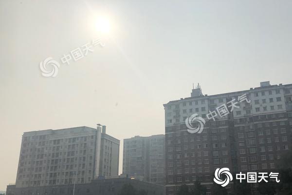 QQ图片20190127105234.jpg