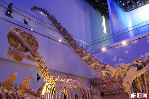 2019广州恐龙展展览时间+地点+展览看点