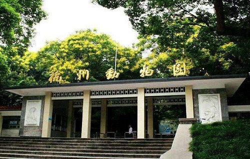 杭州动物园在哪