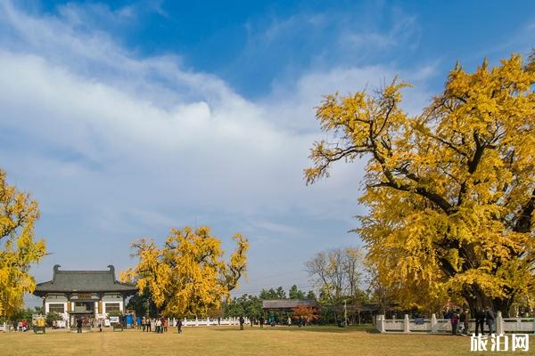 2019南京惠济寺1600年庆典时间+地点+活动安排 2019南京惠济寺1600年庆典报名入口