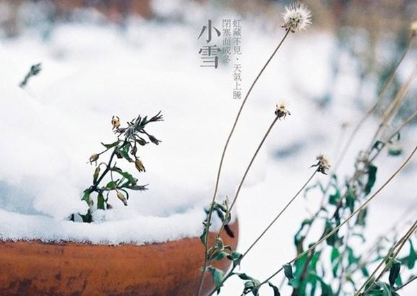 “月令七十二候集解”是什么意思